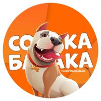 Собака бабака в MAX