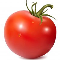 Дачный уголок: про сад и огород в MAX