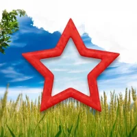 За Родину в MAX