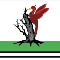 Елабуга Светлый в MAX