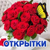 Живые Открытки GIF l Видео ГИФ Поздравления Каритинки онлайн Юмор Приколы Шутки Анекдоты Смотреть Пожелания Еда Рецепты Маникюр Ногти Клипы Знакомства Мемы Стикеры Кино Фильмы Сериалы Музыка 2025 в MAX