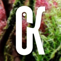 Скалярики в MAX