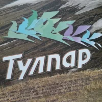 Тулпар журналы каналы в MAX