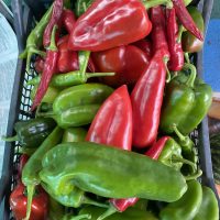 На даче у Ляли в MAX