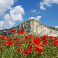 Крымовед. О Крыме. Гид по Крыму в MAX