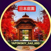 Японский сад.⛩️🌺 Краснодар Парк Галицкого OZON АРЕНА в MAX