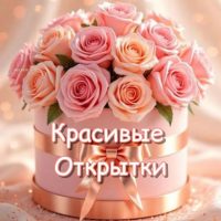 Красивые открытки в MAX в MAX