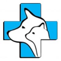 Ветеринар Бубликова Юлия | питомцы, животные, кошки, собаки в MAX