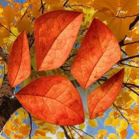 Живая Планета в MAX