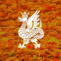 Город Казань в MAX