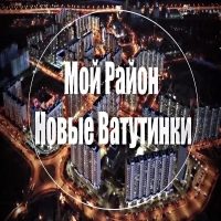 Мой район Новые Ватутинки в MAX