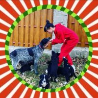 Lana Liman - блогер, автор контента, волонтер. Жизнь, семья, собаки и кошки в MAX