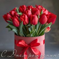 ОТКРЫТКИ И ПОЖЕЛАНИЯ в MAX