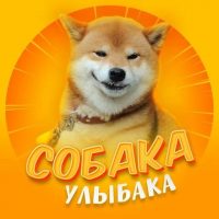 Собака-улыбака в MAX