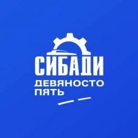 Университет СибАДИ в MAX