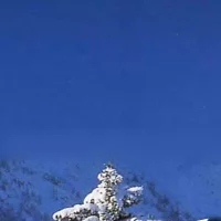 Биатлон в MAX