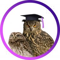 Дневник педагога | начальная школа в MAX