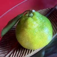 САМЫЙ ПОЛЕЗНЫЙ в MAX