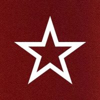 ДМБ АРМИЯ в MAX