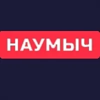 Студия разработки Наумыч в MAX