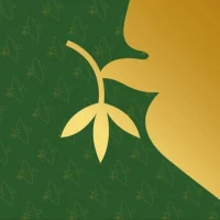 Академия ВЭГУ в MAX