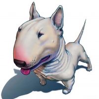 Бультерьер в MAX