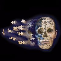 Шамиль Омаров в MAX