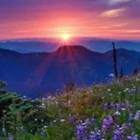 Христианская мудрость в притчах в MAX