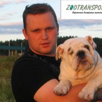 Перевозка, доставка животных | ZOOTRANSPORTS в MAX