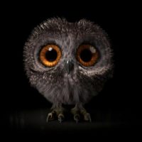 Смотрибельно в MAX