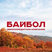 Байбол | Займы для своих в MAX