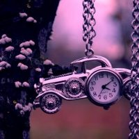 челоВЕК в MAX