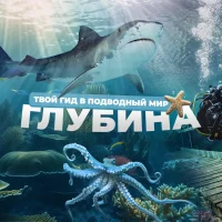 Глубина в MAX