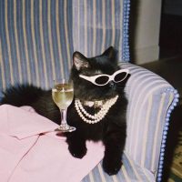 MY HOME 🧺🍪☕️ в MAX