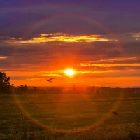 Авиация и путешествия -SturmAvia в MAX