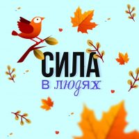 Комитет по молодежной политике Ленобласти в MAX