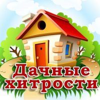 Дачные хитрости. Полезные советы в MAX
