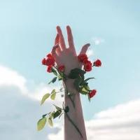 Истина на ладони | Саморазвитие в MAX