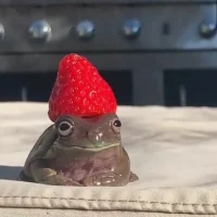 Юмористка в MAX