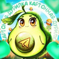 Дурилка картонная | Женский юмор в MAX