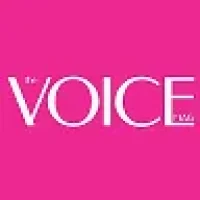 Voice в MAX
