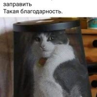 img_20260809_111941_541