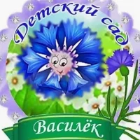 МБДОУ ДС №17