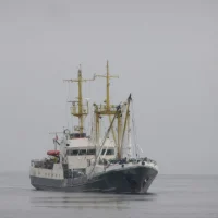 РСО "Рыболовецкая артель"