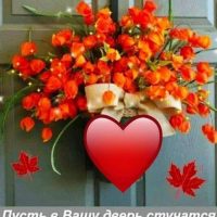 Детский сад № 202 | Хабаровск