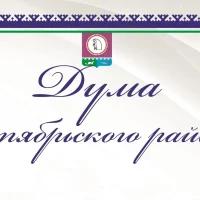 Дума Октябрьского района