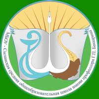 МБОУ Сыланская СОШ им. профессора Г.П.Башарина