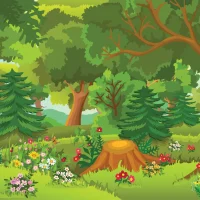 МБДОУ "Детский сад № 81 "Лесная полянка"