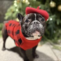 Бароша-скейтер