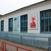 ДМШ пгт Серышево